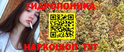 прущие грибы Комсомольск-на-Амуре