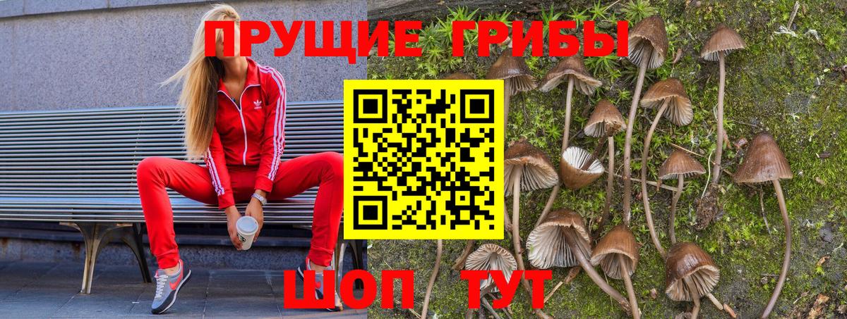Галлюциногенные грибы прущие грибы  Вход с VPN  Янаул 