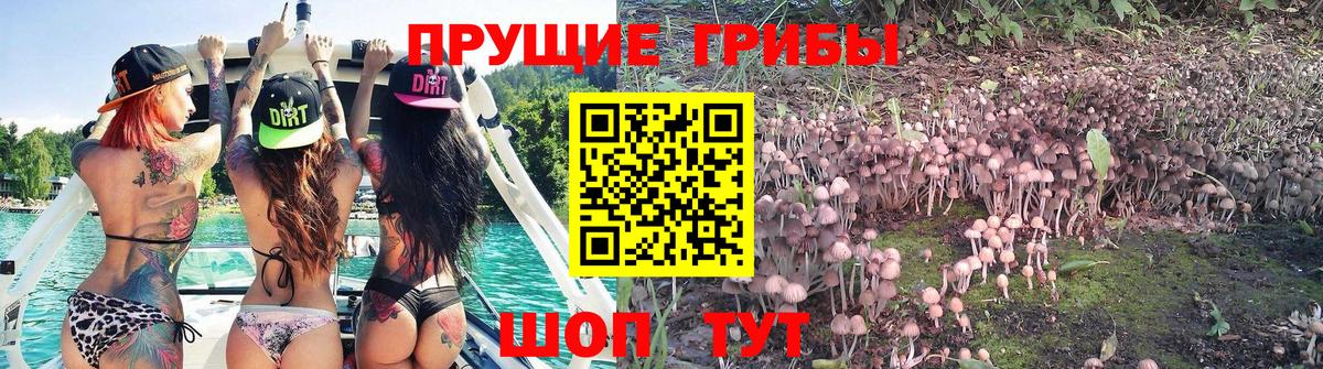 Галлюциногенные грибы прущие грибы Янаул